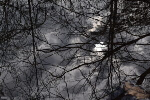 reflections of trees and clouds in creek